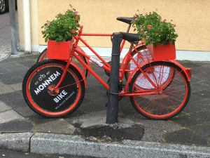 Neckarradweg Mannheim Fahrrad-Jubiläum