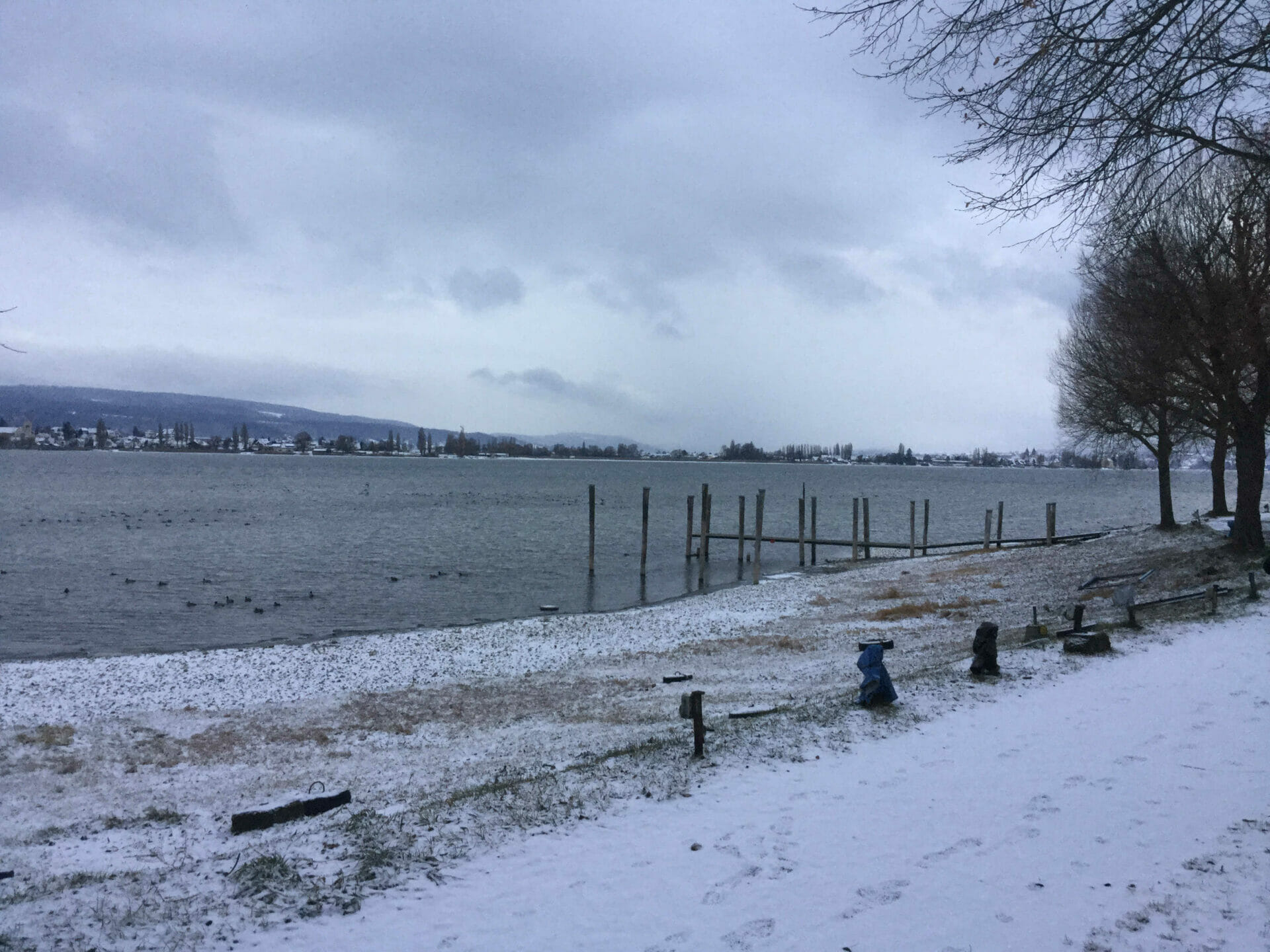 Allensbach Bodenseeradweg Radtour