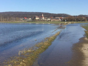 Überschwemmung des Donauradwegs bei Riedlingen-Zell (Flussradweg)