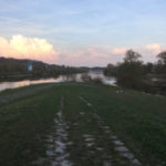 Kelheim Donauspitz Altmühltalradweg Altmühl fließt in Donau