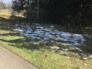 Schnee Alexanderschanze in Kniebis bei Freudenstadt