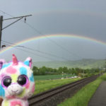 Laufenburg Schweiz Regenbogen Babyeinhorn Rheinradweg