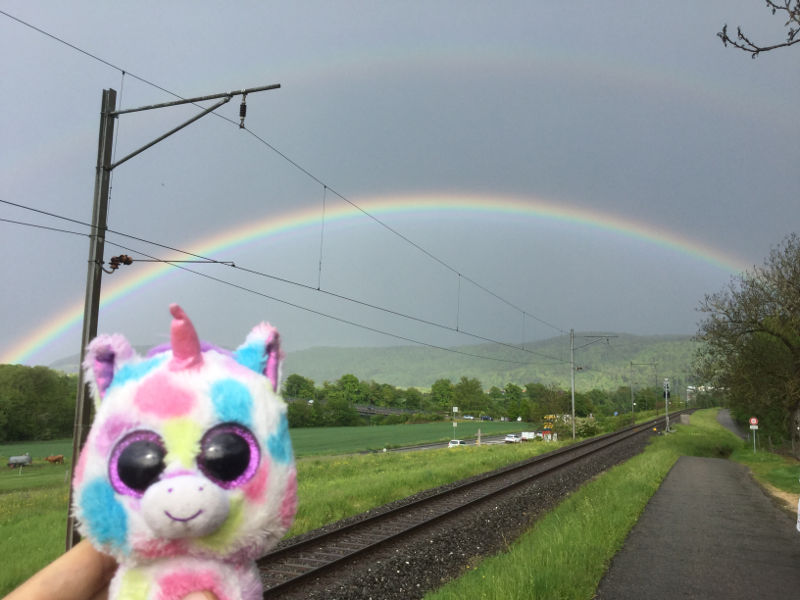 Laufenburg Schweiz Regenbogen Babyeinhorn Rheinradweg