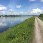 Rheinradweg Kehl am Rhein
