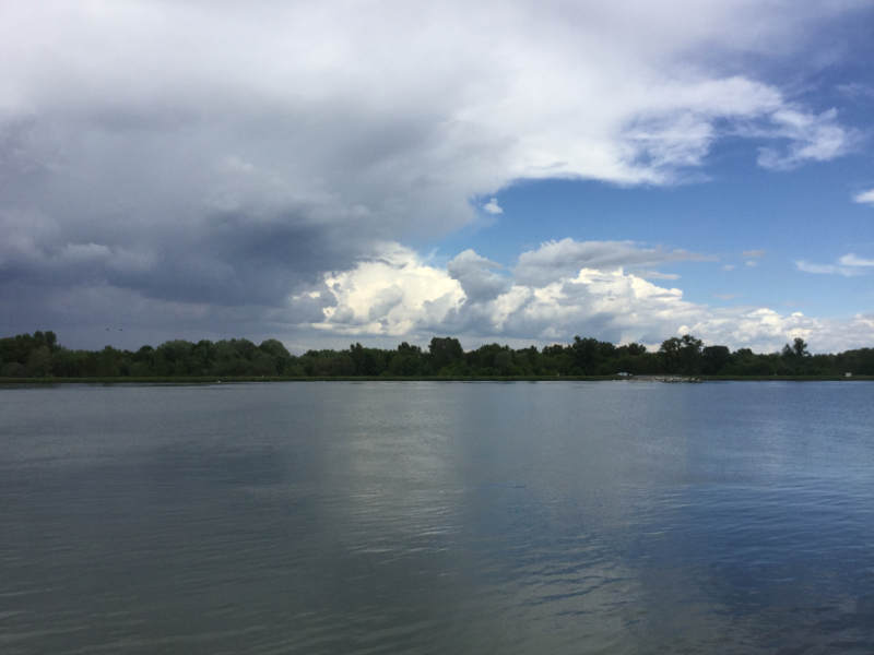 Wetter Rheinmünster