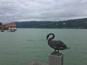 Großer Alpsee bei Immenstadt Königssee-Bodensee-Radweg-Erfahrungsbericht