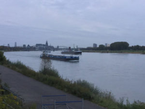Rheinradweg Köln von weitem