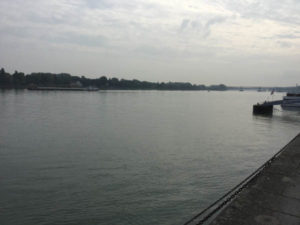 Mainz Rheinradweg - Blick zurück