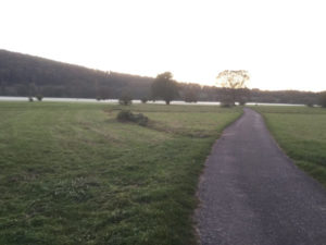 Rosswag Enzaue Vaihingen an der Enz Nebel Enztalradweg