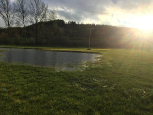Creglingen Taubertalradweg See im Rasen