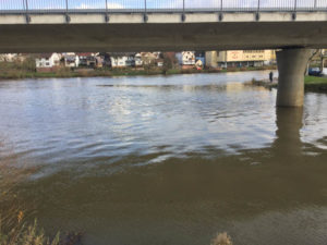 Tauber fließt in Main - Mainradweg Wertheim