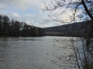 Grünenwört am Main - Mainradweg Wertheim