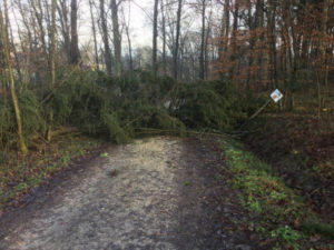 Aichtal Denkendorf Hohenzollern Radweg - umgestürzter Baum