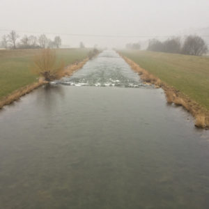 Kinzig zwischen Biberach und Gegenbach im Nebel