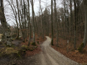 Zwischen Grünwald und München - Naturnahes Isartal - Isarradweg