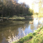 Die Jagst bei Ellwangen - Kocher-Jagst-Radweg