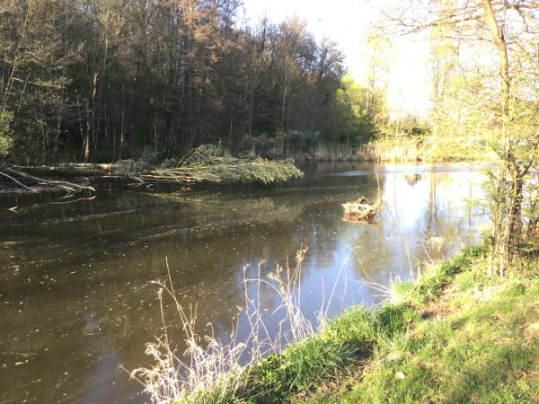 Die Jagst bei Ellwangen - Kocher-Jagst-Radweg