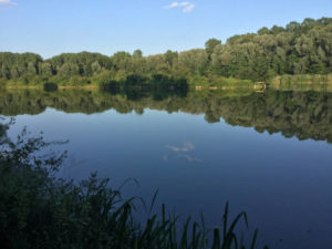 Donau zwischen Dillingen und Höchstädt - Donauradweg