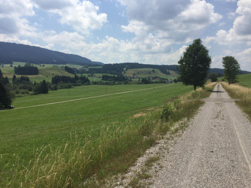 Zwischen Weitnau und Buchenberg - Auf dem Allgäu-Radweg - Schöne Landschaft