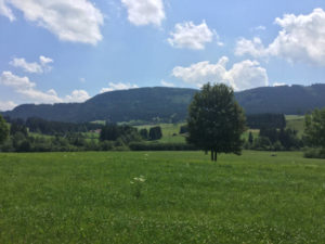 Landschaft zwischen Weitnau und Buchenberg - Allgäu-Radweg