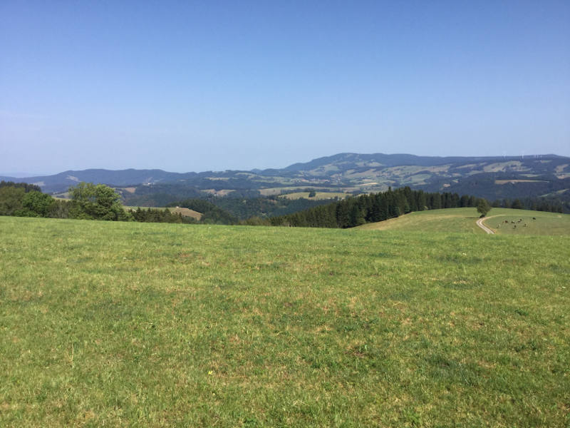 Schwarzwald Radtour - Breitnau beim Naturfreundehaus