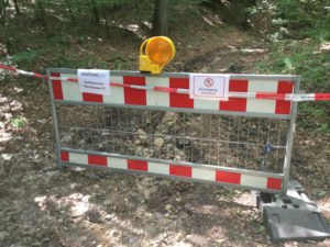 Hornissen - Hornissennest - Schnakenbek - Sperrung - Fahrradweg Elberadweg