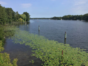 Havel - Berlin-Spandau - Havelradweg - Idylle