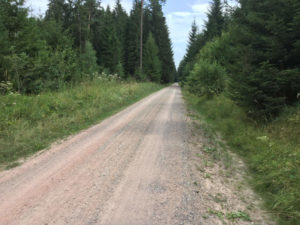 Lange Allee - Unterbränd - Schwarzwald Radtour