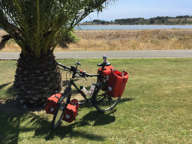 In Leucate in Frankreich am Mittelmeer mit Palme und Fahrrad.