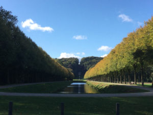 Kleve Baumallee - Wasserburgallee - Forstgarten - Bad Cleve - Kurstadt Kleve - Rheinradweg