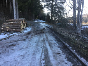 Vereister Waldboden - zwischen Blumberg und Tengen - Heidelberg-Schwarzwald-Bodensee-Radweg