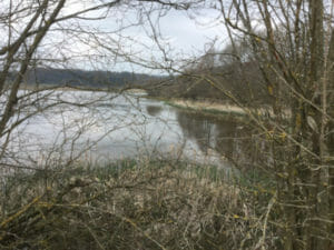 Sangweiher - Schalkenmehren - Maare-Mosel-Radweg