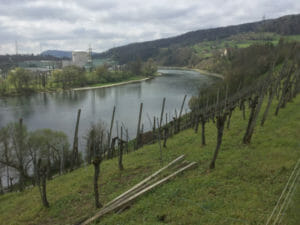 Böttstein - Aare-Blick - Aare-Radweg
