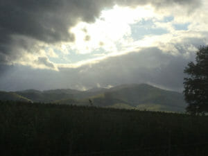 Abendstimmung nach Ingersheim - Abendstimmung - Radtour im Elsass