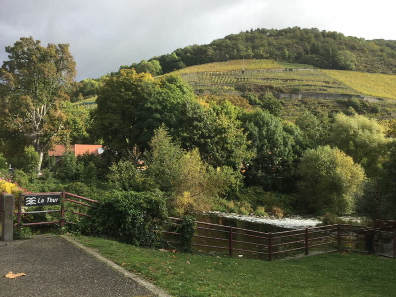 Thann - Weinberge - Radweg an der elsässischen Weinstraße