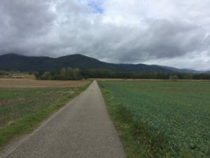 Cernay und Berrwiller - Radfahren im Elsass