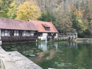 Blautopf - Blaustein in grün