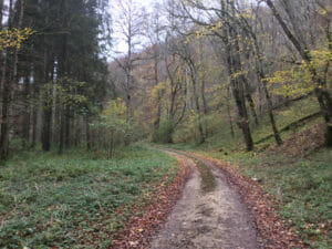 Zwischen Blaubeuren und Heroldstatt - den Berg hinauf mit dem Rad