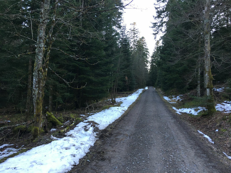 Zwischen Loßburg und Freudenstadt liegt Schnee - Schwarzwald-Panorama-Radweg