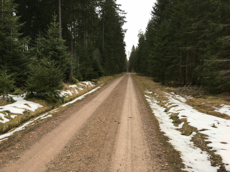 Waldradweg - Unterbränd - Titisee-Neustadt - Schwarzwald-Panorama-Radweg