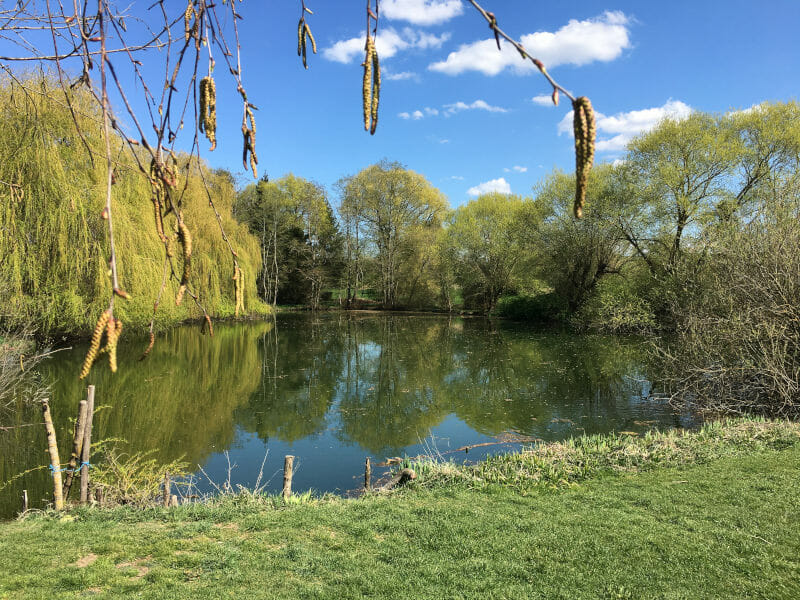 Weiher in Herrenberg - Beginn Ammertalradweg