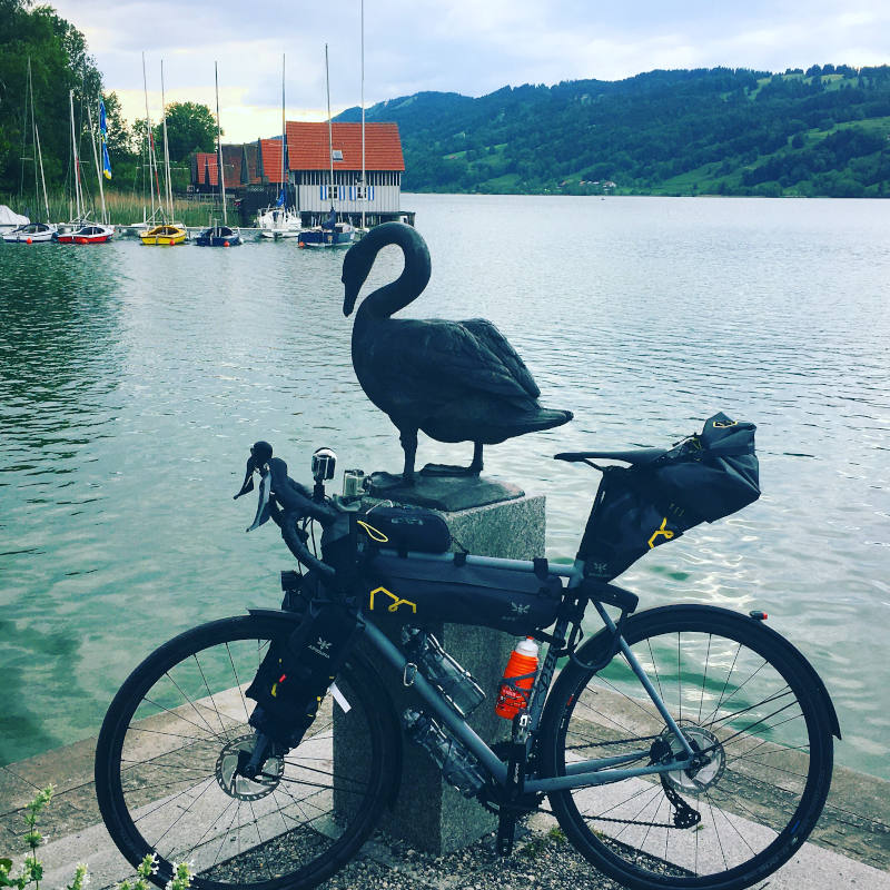 Alpsee - Immenstadt im Allgäu mit Schwan und Rennrad - Bodensee-Königssee-Radweg