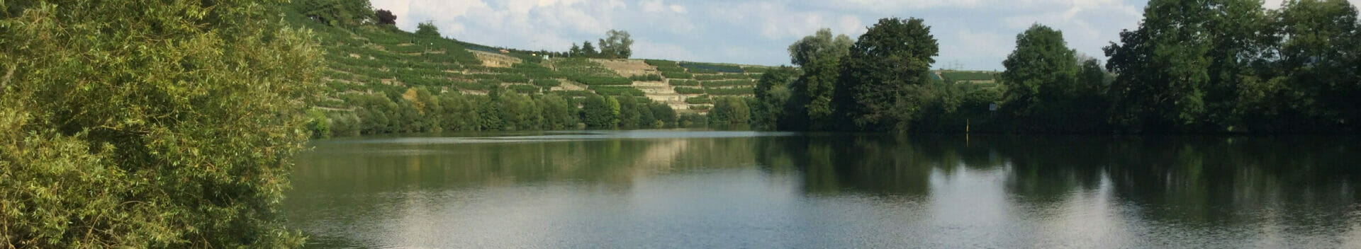 Kirchheim am Neckar - Lauffen - Neckarradweg