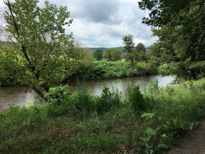 Natur - Wald - Fulda - Schlitz-Hemmen