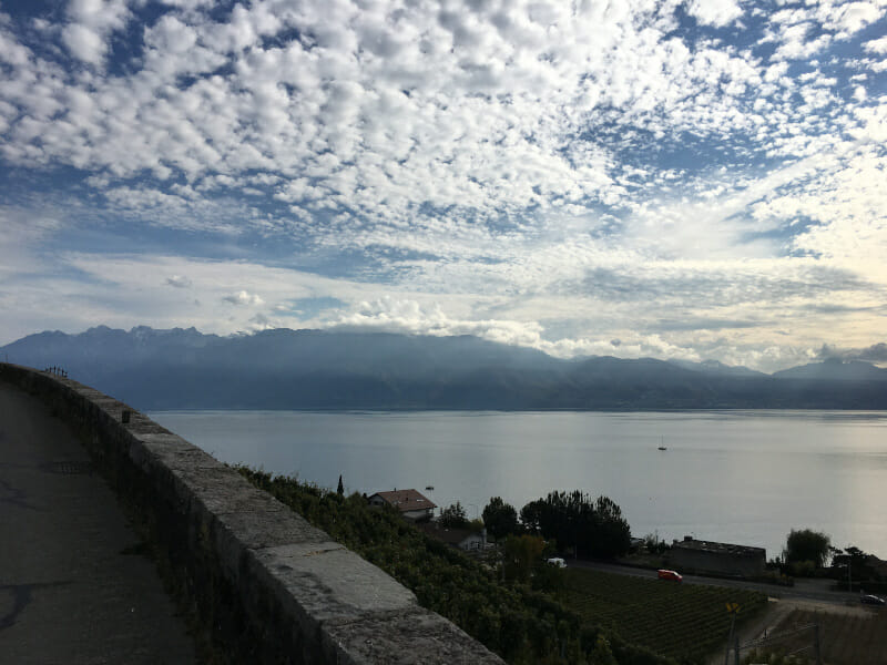 Weinberge bei Chatelard am Genfer See - Rhone-Route.