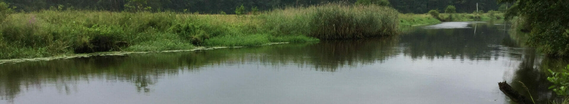 Fürstenwalde Spree - Spreeradweg - Spreewald
