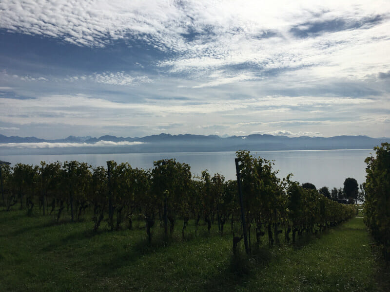 Genfer See - Blick auf die Alpen bei Perroy in der französischen Schweiz