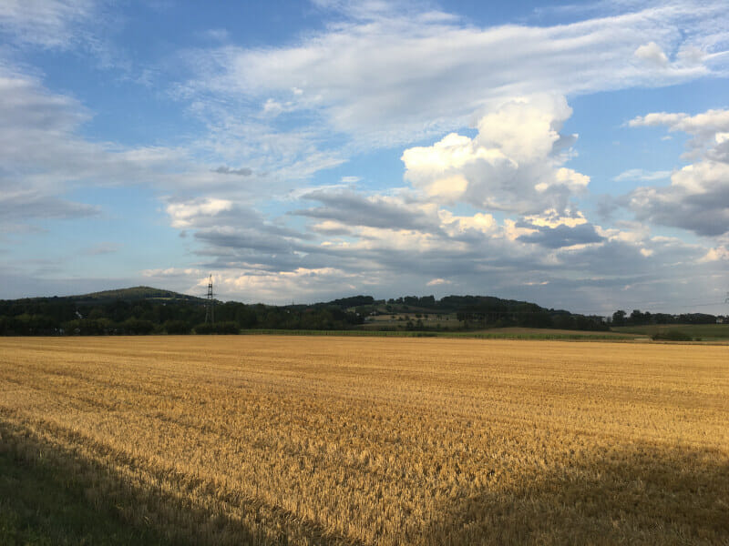 Landschaft hinter Mainleus - Mainradweg