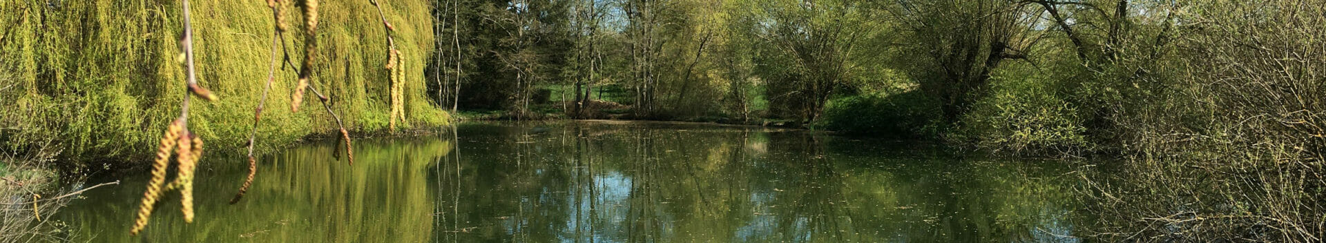 Herrenberg Eisweiher am Ammertalradweg.