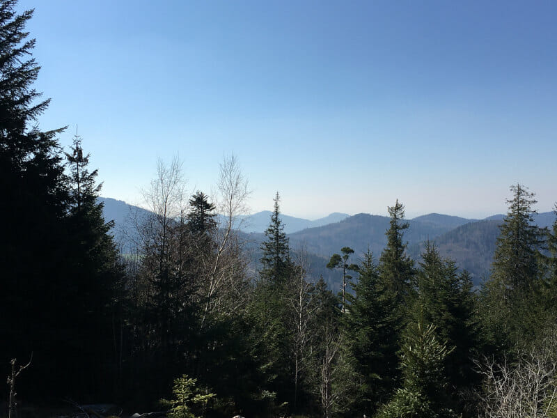 Aussicht auf dem Radweg hinter Dobel - Schwarzwald-Radweg